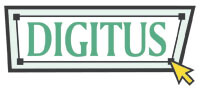 DIGITUS Modulare 48,26cm 19Zoll HD TFT Konsole mit 1 port VGA RAL 9005 schwarz UK Tastatur