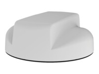 Sierra Wireless AirLink 6-in-1 Antenne 6.2cm Hvid