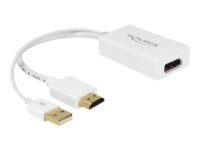 DeLOCK Video transformer