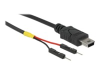 Delock USB / strøm kabel 10cm Sort