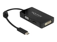 Delock Ekstern videoadapter
