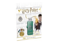 Emtec M730 Slytherin 16GB 16GB USB 2.0 USB stick USB 2.0 USB stick Grøn Grøn