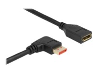 Delock DisplayPort forlængerkabel 2m Sort