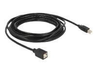 Delock USB forlængerkabel 5m Sort