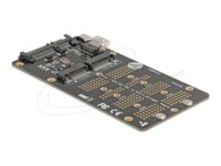 Delock Ramme M.2 Sort