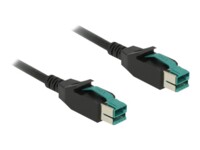 Delock Forstærket USB kabel 5m Sort
