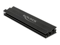 DeLOCK Kølelegeme til solid state-disk