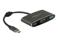 Delock VIA VL101