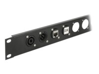 Delock D-Type Module RJ11 Cat.3 jack to jack Sort