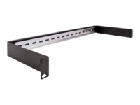 DeLOCK DIN-skinnepanel Sort