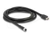 Delock Videoadapterkabel 2m Sort