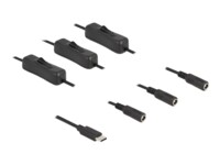Delock Strøm-splitter 1m Sort