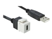 Delock Keystone module Hvid
