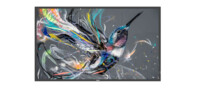 Philips Q-Line 43BDL3511Q 43' 4K UHD (2160p)