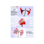 1x100 Olympia Laminating pouches DIN A5 125 micron 9177
