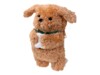 MAGMOJI Ginger Dog Omslag