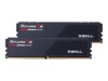 G.Skill Ripjaws S5 DDR5 SDRAM 64GB kit CL28 Ikke-ECC DIMM 288-PIN