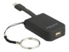 Delock VL100 Ekstern videoadapter
