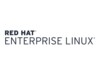 Red Hat Enterprise Linux for ARM Linux 1 licens 3 år