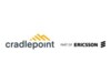 Cradlepoint NetCloud Enterprise Branch Essentials Plan Online & komponentbaserede tjenester 1 år