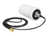 Delock Antenne