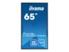 iiyama ProLite LH6552UHS-B1 65' 4K UHD (2160p)