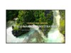 LG UL3Q Series 65UL3Q-E 65' 4K UHD (2160p)