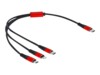 DeLOCK 3 in 1 Kun opladning Lightning-kabel 30cm