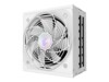 AORUS ELITE AE1000PM PG5 ICE 1000Watt 80 PLUS Platinum