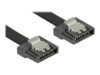 DeLOCK Seriel ATA-kabel Sort 1m