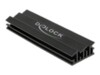 DeLOCK Kølelegeme til solid state-disk