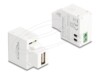 Delock Adapter 5Watt