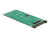 DeLOCK Converter U.2 SFF-8639 NVMe > 1 x M.2 Key M Interfaceadapter