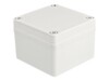 Delock Installation Housing IP65 waterproof 100 x 100 x 75 mm grey