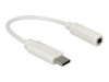 Delock Lyd adapter 14cm Hvid