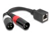 Delock Lyd adapter 20cm Sort