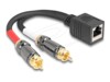 Delock Lyd adapter 20cm Sort
