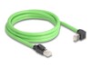 DeLOCK CAT 6a SF/UTP 2m Patchkabel Grøn