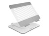 DeLOCK Notebook/tabletstander