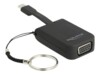 Delock RTD2169U Ekstern videoadapter