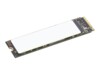 Lenovo SSD 2TB M.2 PCI Express 4.0 (NVMe)