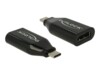 Delock Parade PS176 Ekstern videoadapter