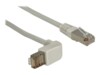 DeLOCK CAT 6 Afskærmet parsnoet kabel (SSTP) 50cm Patchkabel Grey