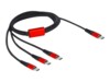 Delock USB Type-C kabel 1m Sort Rød