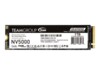 Team Group SSD NV5000 1TB M.2 PCI Express 4.0 x4 (NVMe)
