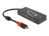 Delock Ekstern videoadapter