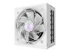 AORUS ELITE AE850PM PG5 ICE 850Watt 80 PLUS Platinum