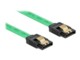 DeLOCK Seriel ATA-kabel Grøn 30cm