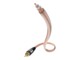 in-akustik Star mono Subwoofer kabel 2m