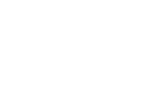AOC Banner Logo